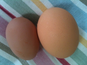 Big egg and little egg